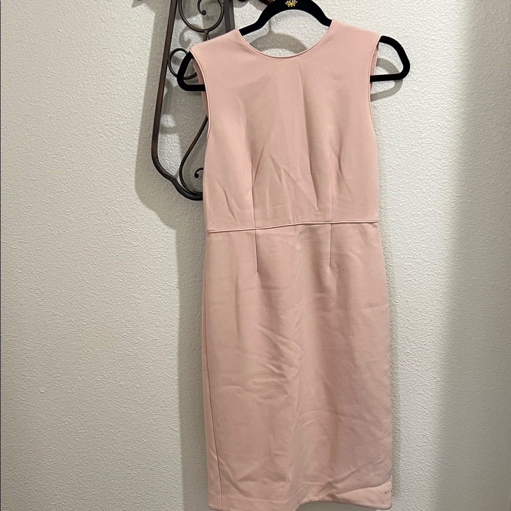 Ann Taylor Pink Midi Dress